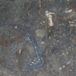 kelly plumbing company